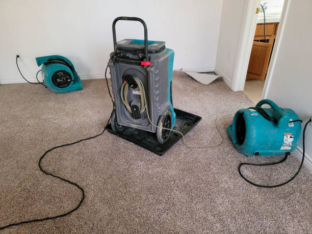 Best 24/7 water damage repair  in Timberwood Park, TX