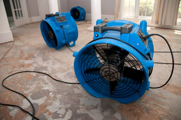 Best Professional water damage repair  in Timberwood Park, TX