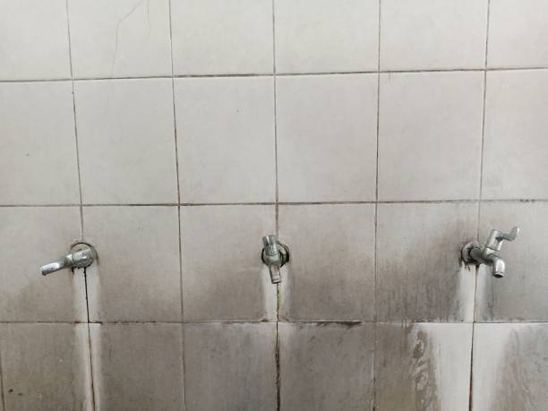 Best Basement water damage restoration  in Timberwood Park, TX