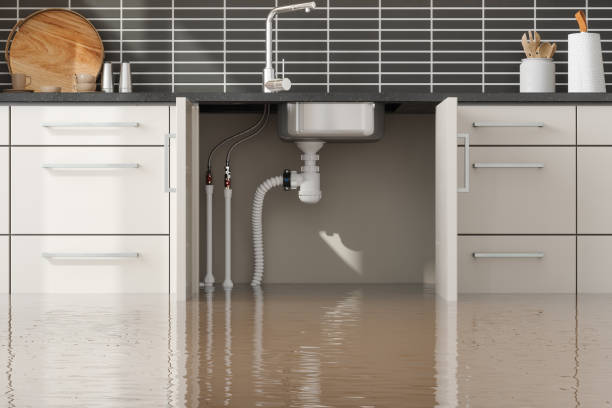 Best Flood damage cleanup  in Timberwood Park, TX