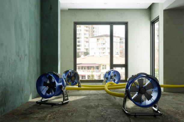 Reliable Timberwood Park, TX Water damage restoration Solutions